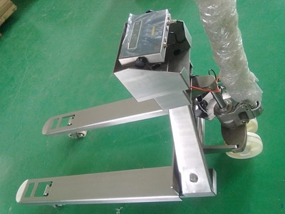 ����ֲ泵��