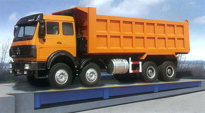 ȫ����������